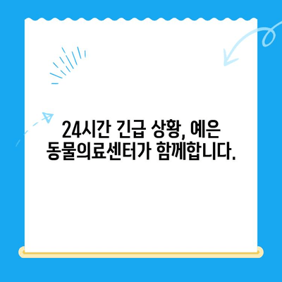 24시간 응급 진료 가능! 최첨단 CT 장비 보유, 예은 동물의료센터 | 동물병원, 응급진료, CT 검사, 서울