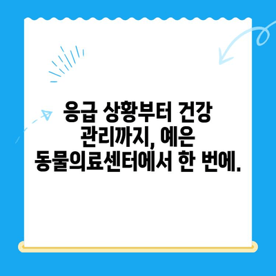 24시간 응급 진료 가능! 최첨단 CT 장비 보유, 예은 동물의료센터 | 동물병원, 응급진료, CT 검사, 서울