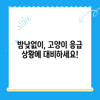 고양이 응급 상황, 24시 동물병원 응급실 찾기| 지역별 연락처 & 진료 시간 | 고양이 건강, 응급처치, 동물병원, 야간 진료