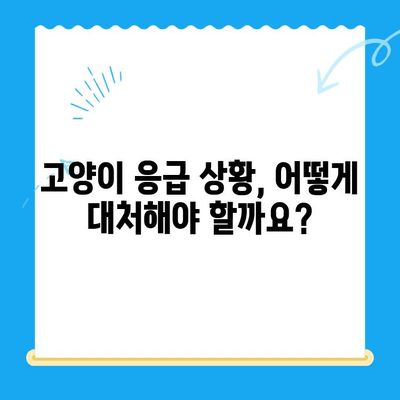 고양이 응급 상황, 24시 동물병원 응급실 찾기| 지역별 연락처 & 진료 시간 | 고양이 건강, 응급처치, 동물병원, 야간 진료