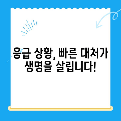 고양이 응급 상황, 24시 동물병원 응급실 찾기| 지역별 연락처 & 진료 시간 | 고양이 건강, 응급처치, 동물병원, 야간 진료