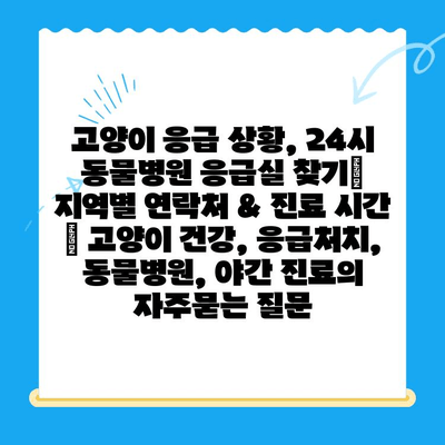 고양이 응급 상황, 24시 동물병원 응급실 찾기| 지역별 연락처 & 진료 시간 | 고양이 건강, 응급처치, 동물병원, 야간 진료