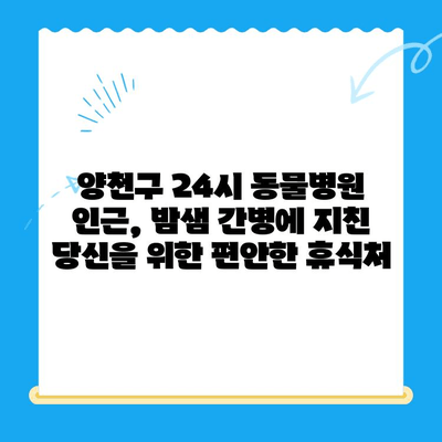 양천구 동물병원 24시 근처, 밤늦게 편안한 휴식을 위한 모텔 추천 | 24시 동물병원, 숙박, 양천구 모텔, 긴급 상황, 편의시설