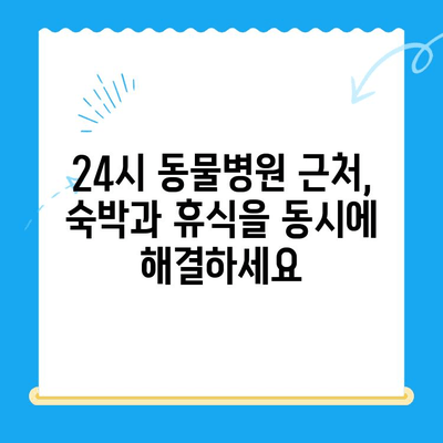 양천구 동물병원 24시 근처, 밤늦게 편안한 휴식을 위한 모텔 추천 | 24시 동물병원, 숙박, 양천구 모텔, 긴급 상황, 편의시설