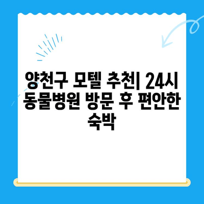 양천구 동물병원 24시 근처, 밤늦게 편안한 휴식을 위한 모텔 추천 | 24시 동물병원, 숙박, 양천구 모텔, 긴급 상황, 편의시설