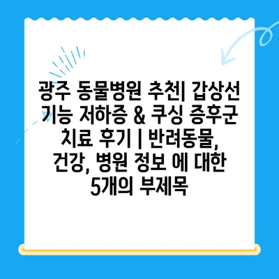 광주 동물병원 추천| 갑상선 기능 저하증 & 쿠싱 증후군 치료 후기 | 반려동물, 건강, 병원 정보