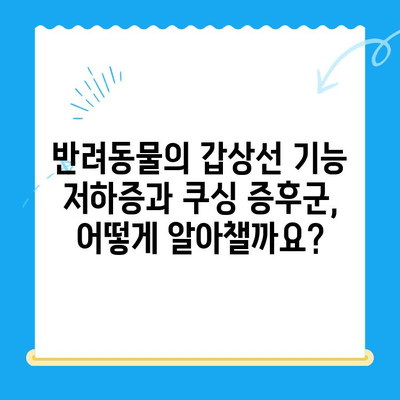 광주 동물병원 추천| 갑상선 기능 저하증 & 쿠싱 증후군 치료 후기 | 반려동물, 건강, 병원 정보