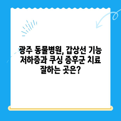 광주 동물병원 추천| 갑상선 기능 저하증 & 쿠싱 증후군 치료 후기 | 반려동물, 건강, 병원 정보