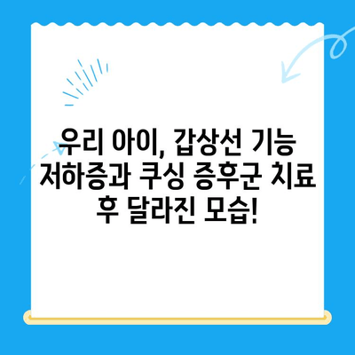 광주 동물병원 추천| 갑상선 기능 저하증 & 쿠싱 증후군 치료 후기 | 반려동물, 건강, 병원 정보