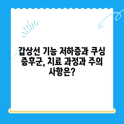 광주 동물병원 추천| 갑상선 기능 저하증 & 쿠싱 증후군 치료 후기 | 반려동물, 건강, 병원 정보