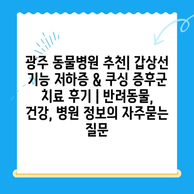 광주 동물병원 추천| 갑상선 기능 저하증 & 쿠싱 증후군 치료 후기 | 반려동물, 건강, 병원 정보