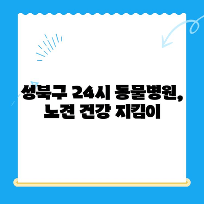 노견 강아지 면역력 혈액검사 후기| 성북구 24시 동물병원에서 경험한 이야기 | 노견 건강, 면역력 증진, 혈액검사