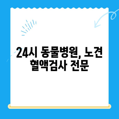 노견 강아지 면역력 혈액검사 후기| 성북구 24시 동물병원에서 경험한 이야기 | 노견 건강, 면역력 증진, 혈액검사