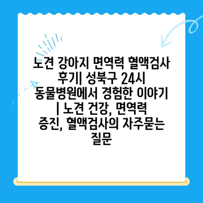 노견 강아지 면역력 혈액검사 후기| 성북구 24시 동물병원에서 경험한 이야기 | 노견 건강, 면역력 증진, 혈액검사