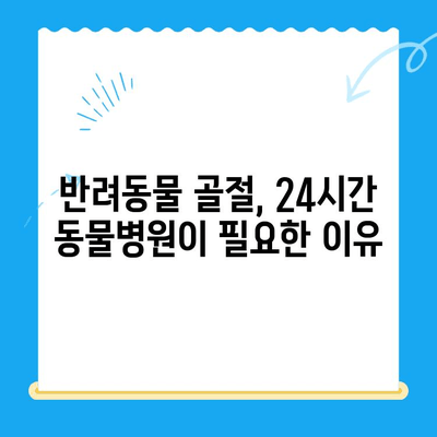 24시간 동물병원, 반려동물 골절 발생 시 어떻게 대처해야 할까요? | 응급처치, 골절, 동물병원, 반려동물