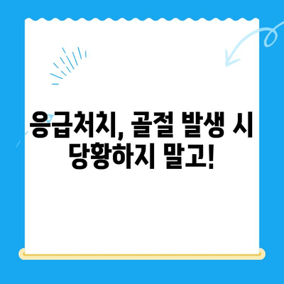 24시간 동물병원, 반려동물 골절 발생 시 어떻게 대처해야 할까요? | 응급처치, 골절, 동물병원, 반려동물