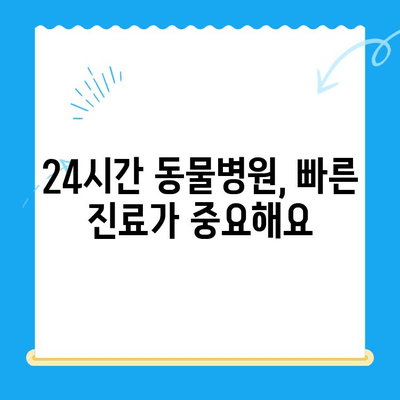 24시간 동물병원, 반려동물 골절 발생 시 어떻게 대처해야 할까요? | 응급처치, 골절, 동물병원, 반려동물