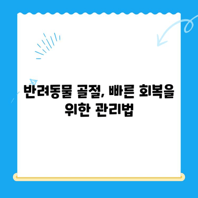 24시간 동물병원, 반려동물 골절 발생 시 어떻게 대처해야 할까요? | 응급처치, 골절, 동물병원, 반려동물