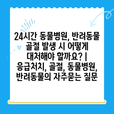 24시간 동물병원, 반려동물 골절 발생 시 어떻게 대처해야 할까요? | 응급처치, 골절, 동물병원, 반려동물