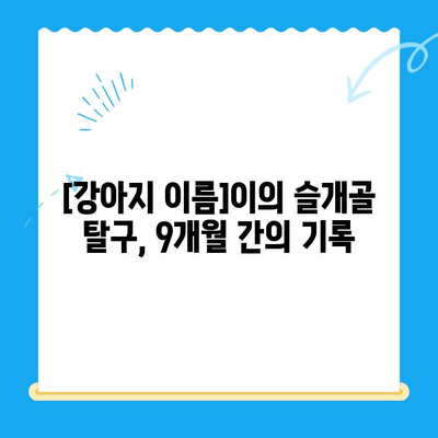 대치, 개포동 24시 동물병원 강아지 슬개골 탈구 수술 후기| [강아지 이름]이의 9개월 간의 기록 | 슬개골 탈구, 수술 과정, 재활, 후유증, 비용