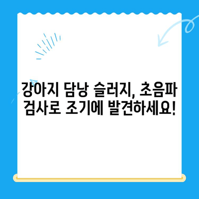 강아지 초음파 검사에서 발견된 담낭 슬러지| 진단부터 치료까지 완벽 가이드 | 담낭 슬러지, 강아지 건강, 초음파 검사, 치료법