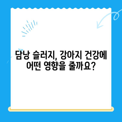 강아지 초음파 검사에서 발견된 담낭 슬러지| 진단부터 치료까지 완벽 가이드 | 담낭 슬러지, 강아지 건강, 초음파 검사, 치료법