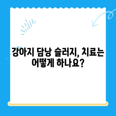 강아지 초음파 검사에서 발견된 담낭 슬러지| 진단부터 치료까지 완벽 가이드 | 담낭 슬러지, 강아지 건강, 초음파 검사, 치료법