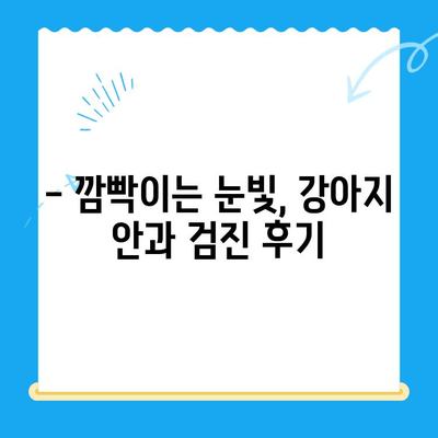강아지 안과 검진 후기| 처인구 24시 동물병원에서 경험한 이야기 | 반려견 안과, 눈 건강, 동물병원 후기