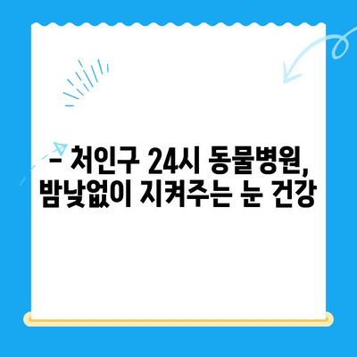 강아지 안과 검진 후기| 처인구 24시 동물병원에서 경험한 이야기 | 반려견 안과, 눈 건강, 동물병원 후기