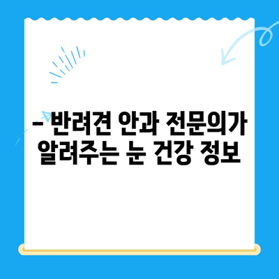 강아지 안과 검진 후기| 처인구 24시 동물병원에서 경험한 이야기 | 반려견 안과, 눈 건강, 동물병원 후기