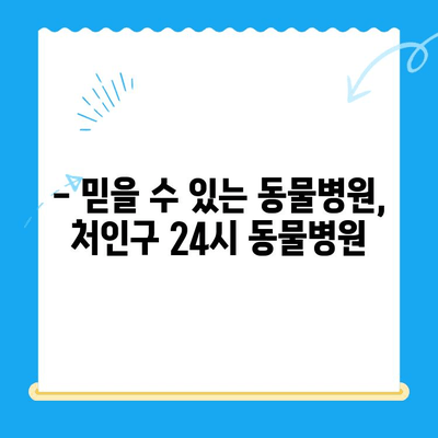 강아지 안과 검진 후기| 처인구 24시 동물병원에서 경험한 이야기 | 반려견 안과, 눈 건강, 동물병원 후기