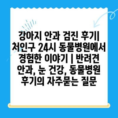 강아지 안과 검진 후기| 처인구 24시 동물병원에서 경험한 이야기 | 반려견 안과, 눈 건강, 동물병원 후기