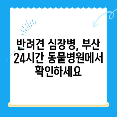 부산 24시간 동물병원에서 반려견 심장검사 받아야 할 때 | 심장병 증상, 검사 종류, 추천 병원 정보