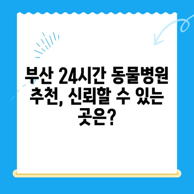 부산 24시간 동물병원에서 반려견 심장검사 받아야 할 때 | 심장병 증상, 검사 종류, 추천 병원 정보