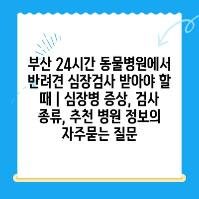 부산 24시간 동물병원에서 반려견 심장검사 받아야 할 때 | 심장병 증상, 검사 종류, 추천 병원 정보