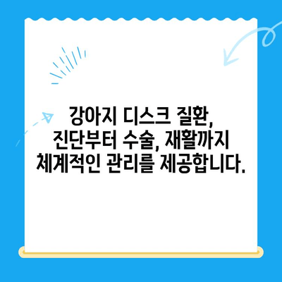 대구 강아지 디스크 전문 동물병원| 24시범어동물의료센터 | 강아지 디스크 질환, 진료, 수술, 재활, 24시간 응급