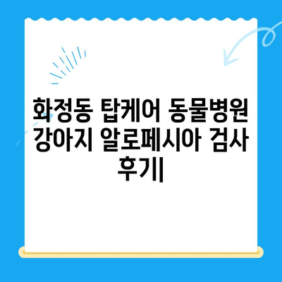 화정동 탑케어 동물병원 강아지 알로페시아 검사 후기| 실제 경험 바탕으로 상세 리뷰 | 알로페시아, 탈모, 강아지 건강, 동물병원 추천