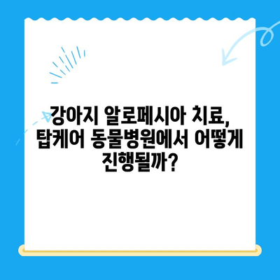 화정동 탑케어 동물병원 강아지 알로페시아 검사 후기| 실제 경험 바탕으로 상세 리뷰 | 알로페시아, 탈모, 강아지 건강, 동물병원 추천