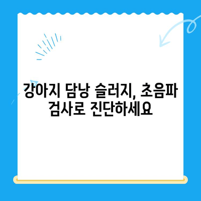 강아지 담낭 슬러지, 초음파 검사부터 치료까지! | 담낭 슬러지, 강아지 초음파 검사, 동물병원 추천, 치료 과정