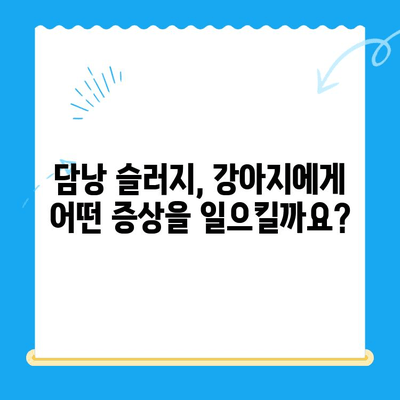 강아지 담낭 슬러지, 초음파 검사부터 치료까지! | 담낭 슬러지, 강아지 초음파 검사, 동물병원 추천, 치료 과정