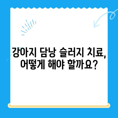 강아지 담낭 슬러지, 초음파 검사부터 치료까지! | 담낭 슬러지, 강아지 초음파 검사, 동물병원 추천, 치료 과정