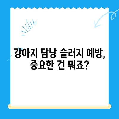 강아지 담낭 슬러지, 초음파 검사부터 치료까지! | 담낭 슬러지, 강아지 초음파 검사, 동물병원 추천, 치료 과정