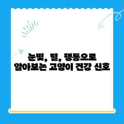 고양이 건강 지키기| 집에서 할 수 있는 체크업 방법 5가지 | 고양이 건강, 건강 체크, 집에서 관리