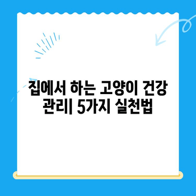 고양이 건강 지키기| 집에서 할 수 있는 체크업 방법 5가지 | 고양이 건강, 건강 체크, 집에서 관리