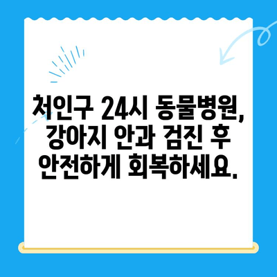 처인구 24시 동물병원에서 강아지 안과 검진 후 회복| 안전하고 편안한 휴식 | 처인구, 동물병원, 안과 검진, 강아지, 회복, 휴식