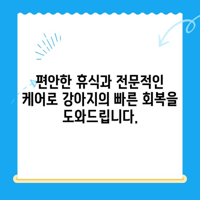 처인구 24시 동물병원에서 강아지 안과 검진 후 회복| 안전하고 편안한 휴식 | 처인구, 동물병원, 안과 검진, 강아지, 회복, 휴식