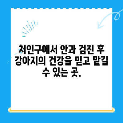 처인구 24시 동물병원에서 강아지 안과 검진 후 회복| 안전하고 편안한 휴식 | 처인구, 동물병원, 안과 검진, 강아지, 회복, 휴식