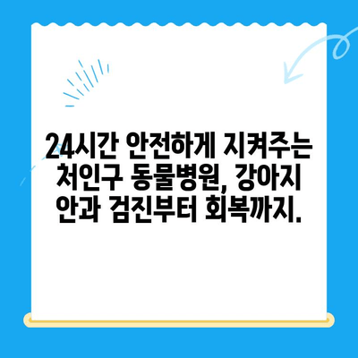 처인구 24시 동물병원에서 강아지 안과 검진 후 회복| 안전하고 편안한 휴식 | 처인구, 동물병원, 안과 검진, 강아지, 회복, 휴식