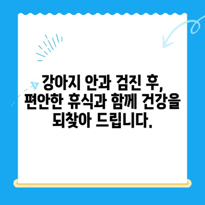 처인구 24시 동물병원에서 강아지 안과 검진 후 회복| 안전하고 편안한 휴식 | 처인구, 동물병원, 안과 검진, 강아지, 회복, 휴식