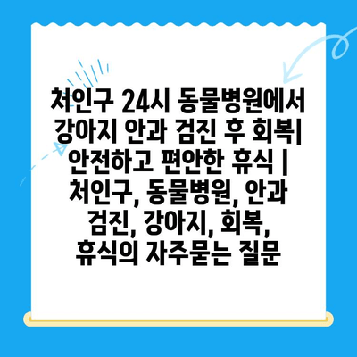 처인구 24시 동물병원에서 강아지 안과 검진 후 회복| 안전하고 편안한 휴식 | 처인구, 동물병원, 안과 검진, 강아지, 회복, 휴식